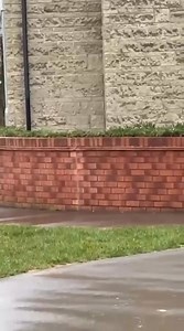 Shoplifters from Yate at it again 😂😶‍🌫️🤫 | Spotted In Yate 2.0