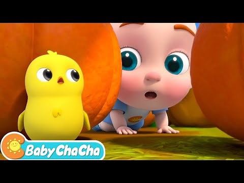 Little Chick Search Song | Little Chick, Where Are You? | Baby ChaCha Nursery Rhymes & Kids Songs