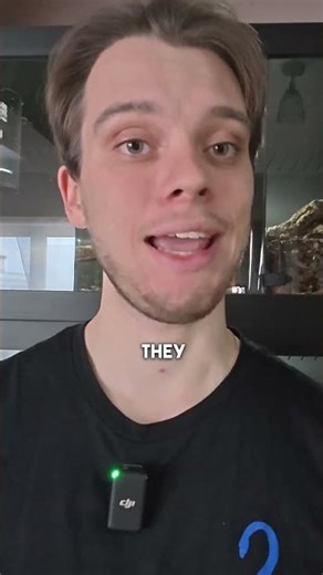 Light and heat for Ball Pythons