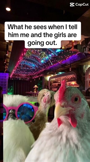 Girls night! #Meme #funny #chickenhead #wifelife #girlsnight #party #chickenheads #dance #chickendance #friends #besties #goodvibes #funtime #husbandwife #husbandsbelike #husbandwifecomedy #dancingchicken #MemeCut #girlsjustwanttohavefun #viralvideo #bff #chickenmeme