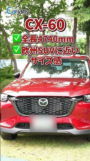 [Size Comparison] CX-60 vs CX-80 | Are they more different than they look? Check out the body siz...