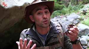 25K views · 53 shares | Coyote and the crew come across some newts that are pretty adorable... yet also toxic! | Coyote Peterson | Facebook