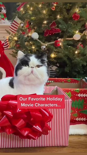 Some of our favorite holiday movie characters! ❤️🎄 #christmasmovies #holidayseason #catreels #funnycats #christmas | Walter Bishop the Cat