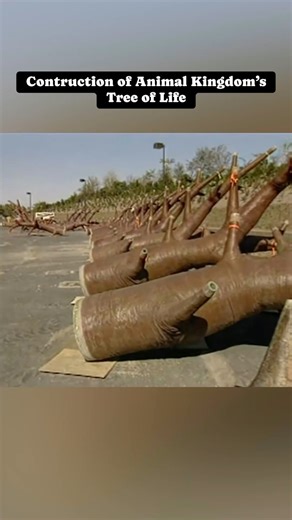 The Tree of Life was unveiled as the centerpiece of Animal Kingdom when it opened in 1998, following a year-long construction period. This 145-foot tall structure is adorned with over 103,000 leaves and includes more than 325 carvings of animals. 🦒🐘 #animalkingdom #construction #disneyworld #1990s #disney #disneyparks #timelapse #florida | Days Gone Disney