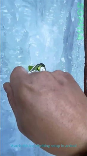 Ice Climbing Gear: Securing a Protection Anchor in Frozen Terrain