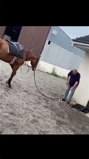 Epic Fail Funny 😂 Moments | EP 0159 | Fail Drops #funny #epicfails #shorts #viral #faildrops