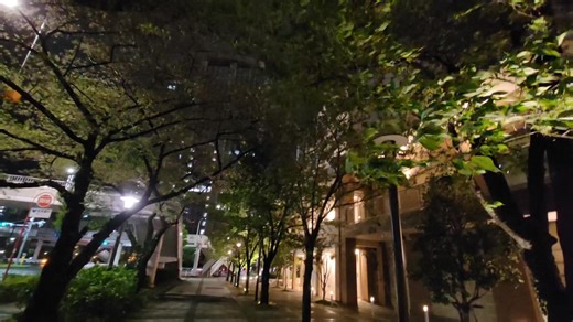 It's time to shoot the night view. Even before I start filming, there's this breathtakingly beautiful night view right in front of me. The place where this is filmed is not the balcony of my apartment in Toyosu, where I live. #BreathtakinglyBeautiful#TokyoSkyTreeToyosu#Tokyo#Japan