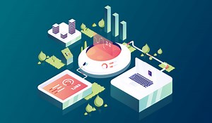 Which Are the Most Popular Blockchain Networks?