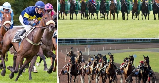 Le grand direct - Épisode 301