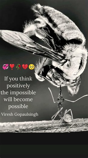 #andhero ke nagari se kese mai par ja u #motivation #tranding #positivitypost #positivethoughts #pos