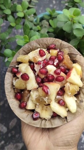 ನವರಾತ್ರಿ ದಿನ -6 || Mix Fruit Rasayana || #shortsfeed #shortsviral #shorts