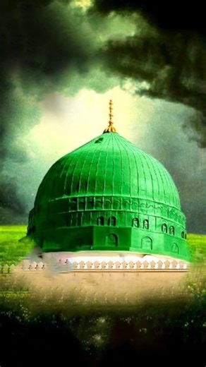 madina Karim hai 💚#shorts#islamic #support #beautiful #love #viral