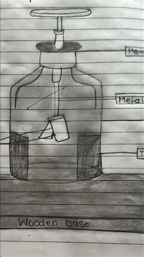 diagram of electroscope
