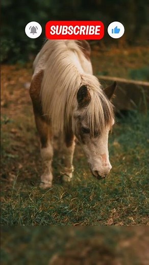 animal amazing growth journey #animals
