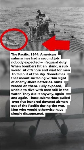 1 Submarine Surfaced Beside an Enemy Island to Grab a Pilot | Military History Talks