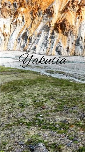 Wild Mountain Sheep in Yakutia ❄️ | Chersky Range