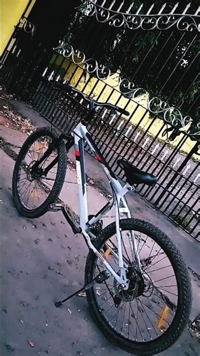 Crazy Bicycle Stunts 😱 Unbelievable Cycle Skills #shorts