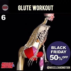 No Need to Guess How to Perform Exercises with the Strength Training App. Each Exercise Contains a Detailed Animation to Assist You. Big Sale! Take 50% Off Site-wide. | Muscle and Motion