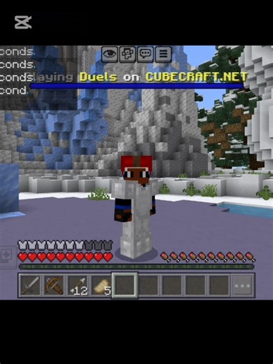 #minecraft #pvp #edit #song