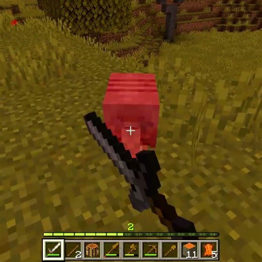 Pangolin Vs Stone Sword #minecraft #shorts