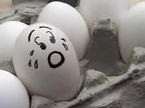 Egg Commercial