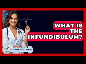 What Is The Infundibulum? - Ear Nose Throat Expert