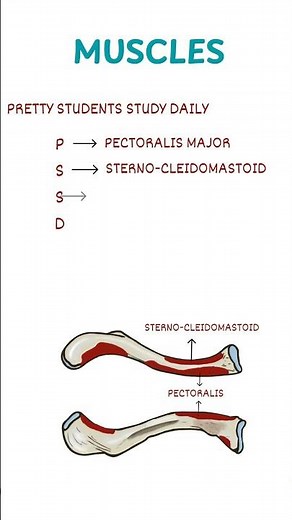 MUSCLE ATTACHMENTS ON CLAVICLE MNEMONIC