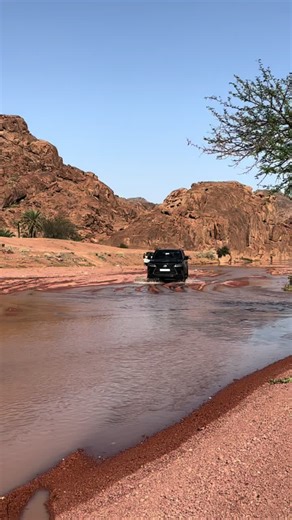 حسابات مقترحة