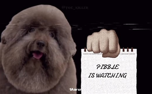 Frustration with CapCut Export Issues