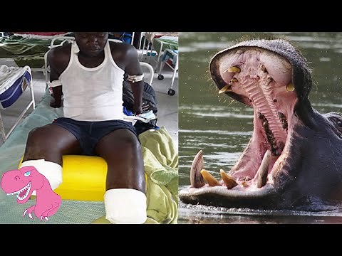 7 Deadliest Hippo Attacks on People in Africa