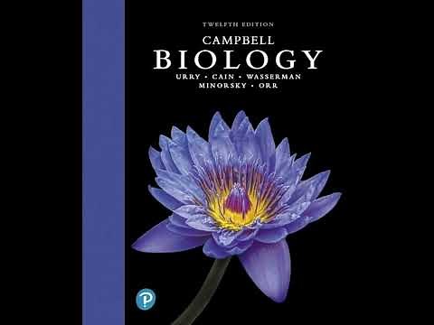 Neurons, Synapses, and Neural Signaling | Chapter 48 – Campbell Biology