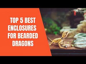 Top 5 Best Enclosures For Bearded Dragons