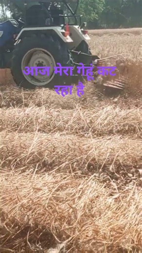 ❤💥🔥#किसान #खेतीhttps://media.tenor.com/7zIbhj7uL58AAAAM/wheat-wheat-field.gif गांव