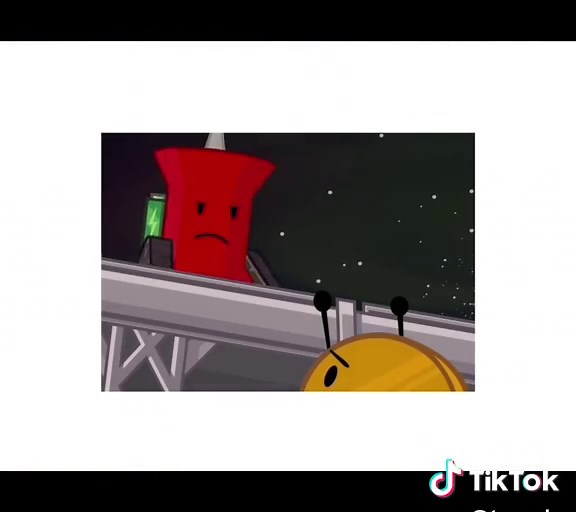 Understanding BFDI and Coiny Relationship Dynamics