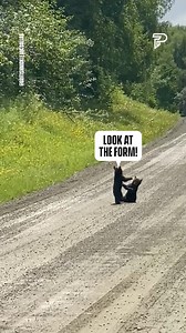 422K views · 7.2K reactions | They're cute till mama comes...  | Pubity | Facebook