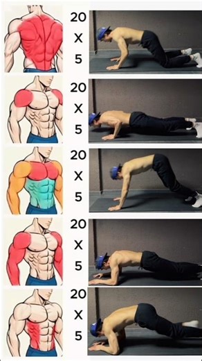 💪 Beginner Workout Plan (Start Your Fitness Journey)