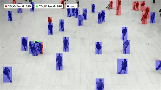 YOLOv5 vs. YOLO11: Detection Quality Compared | Applineed AI