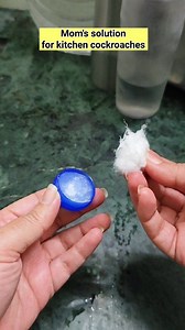 1.4M views · 4.6K reactions | Get rid of cockroaches from kitchen easily #pestcontrol #cockroach #insects #kitchensolutions #getridofit | viyofoood | Facebook