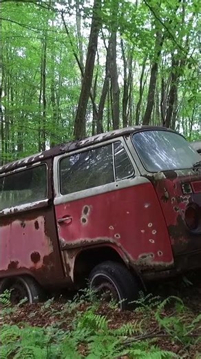 Volkswagen graveyard found with very rare Beetles, T1 & T2.