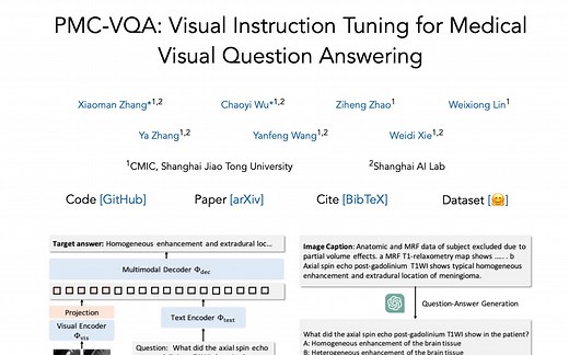 (AI4Med Series) PMC-VQA: Visual Instruction Tuning for Medical VQA
