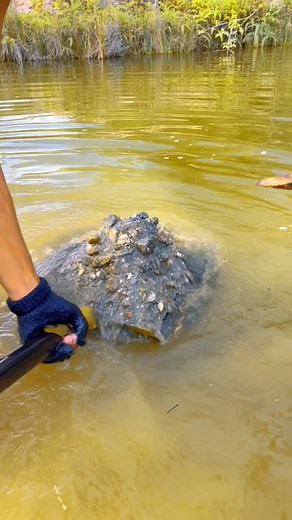 137K views · 628 reactions | Wow,,Miners find the best gold material #fypシ゚viralシ #misrawardiadventure #gold | Misrawardi adventure | Facebook