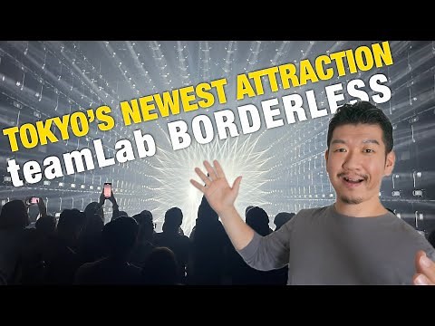 Ultimate guide to the New teamLab Borderless - What to Know Before you Go