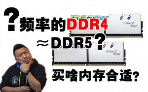DDR4 vs DDR5 内存对游戏性能的影响终章