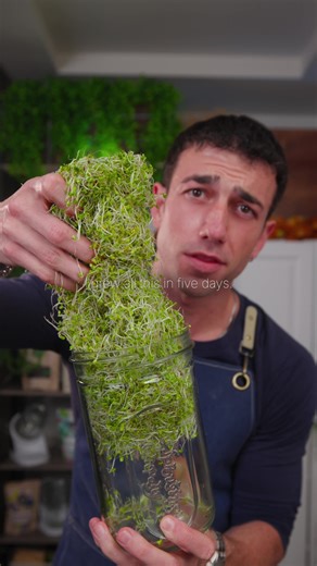 Grow Your Own Sprouts Easily at Home