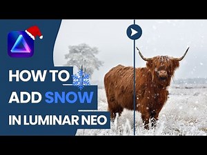 Luminar NEO: How to ADD SNOW