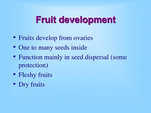 Fruit development - SlideServe