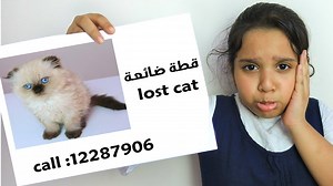 قطة شفا ضاعت Shfa Lost our cat. | Diana Show PRT