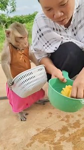 Washing pineapple 🍍 | AYA Home