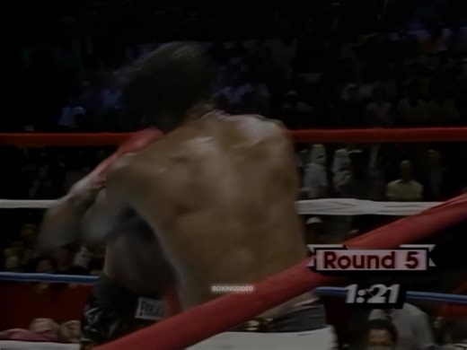 Mike Tyson ⚔️💥 #boxing #boxing🥊 #miketyson #viral #fyp | mike tyson