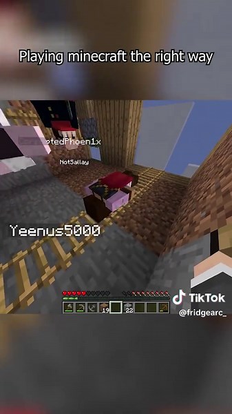 Playing Minecraft the Right Way: Funny and Trippy Gameplay